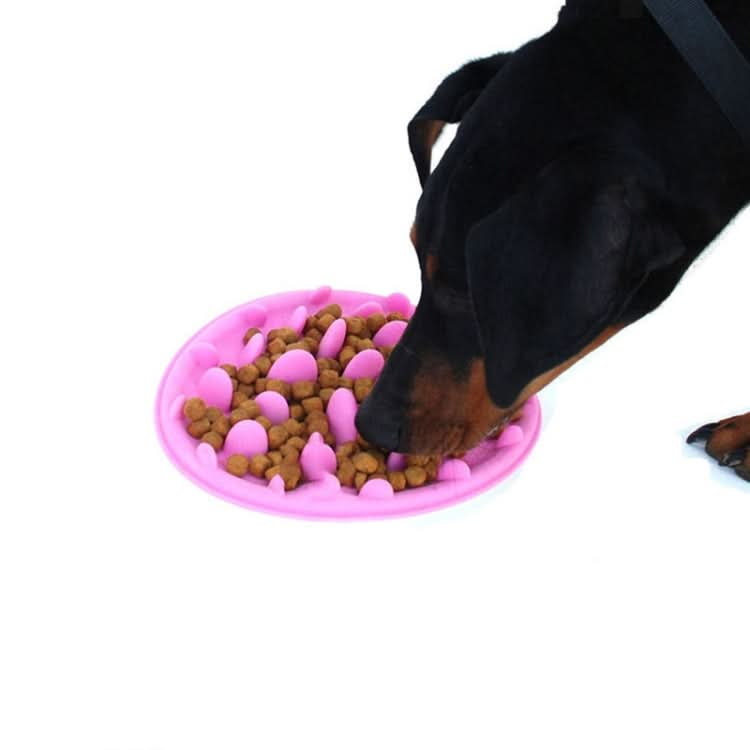 Pet Cat and Dog Jungle Silicone Anti-choke Food Bowl - Reluova