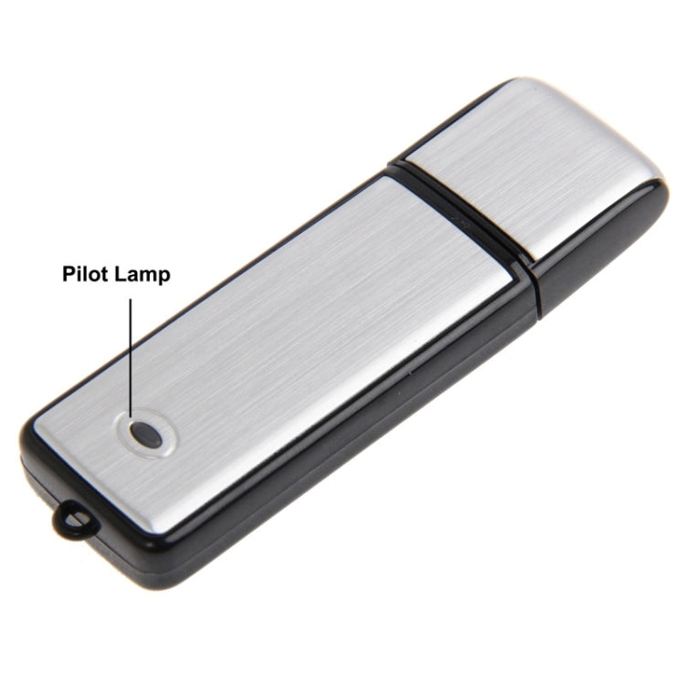 USB Voice Recorder 32GB USB Flash Disk Reluova