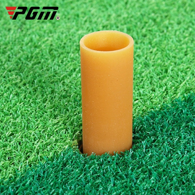 PGM Indoor Swing Practice Mat Golf Mats Mini Golf Supplies, 30 x 60cm Normal Edition + TEE