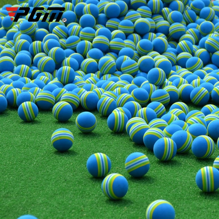 PGM 10 PCS Golf Indoor Practice Sponge Ball