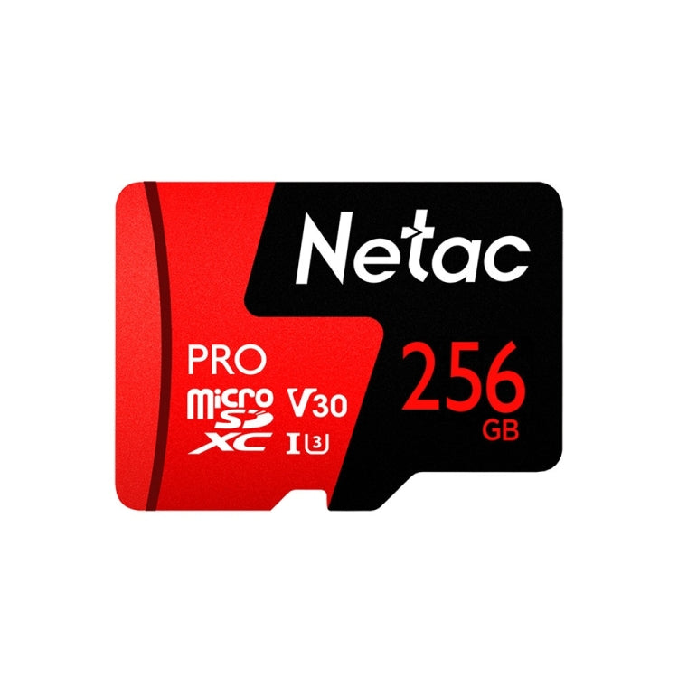 Netac P500 PRO 256GB U3 Speed Level Automobile Data Recorder Monitor Camera Memory Card TF Card My Store