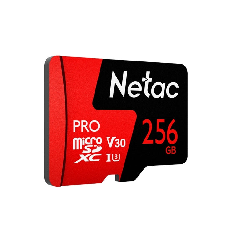 Netac P500 PRO 256GB U3 Speed Level Automobile Data Recorder Monitor Camera Memory Card TF Card My Store