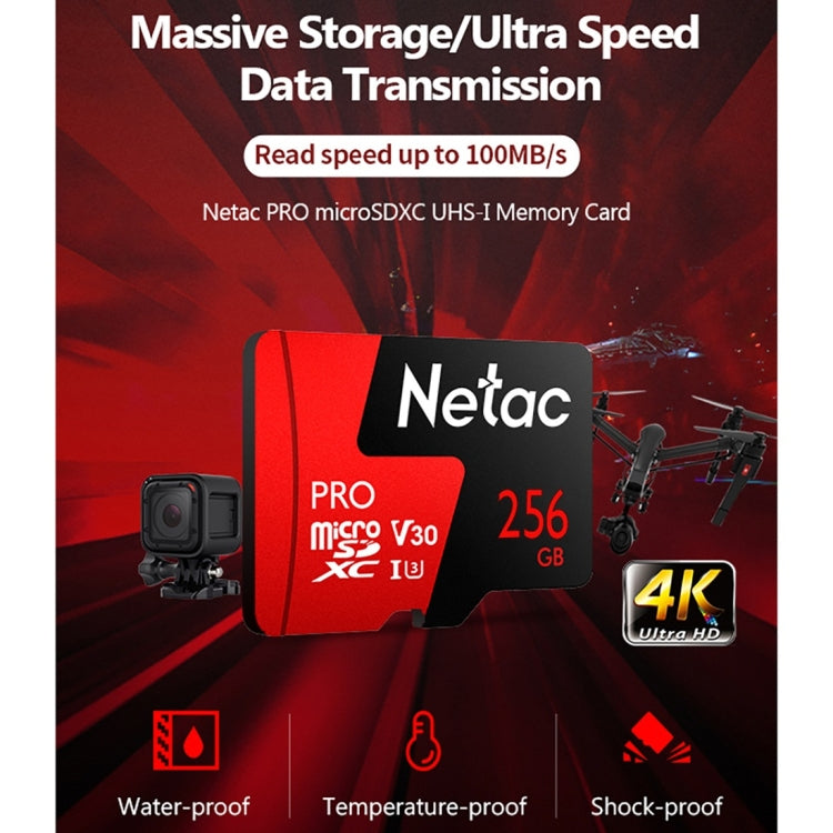 Netac P500 PRO 256GB U3 Speed Level Automobile Data Recorder Monitor Camera Memory Card TF Card My Store