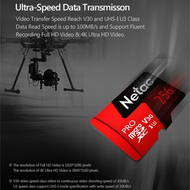 Netac P500 PRO 256GB U3 Speed Level Automobile Data Recorder Monitor Camera Memory Card TF Card